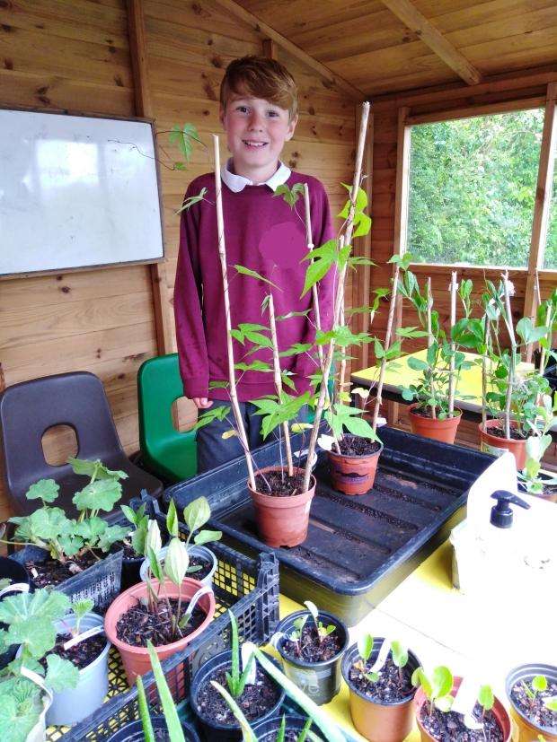 Tom standing behind his plant stall