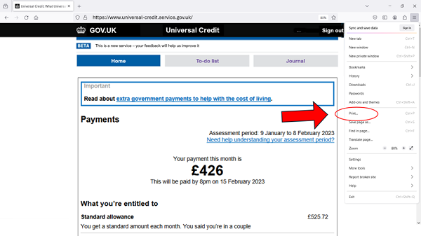 Screenshot of UC journal showing print payment details